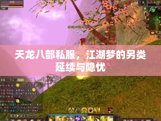 天龙八部私服，江湖梦的另类延续与隐忧