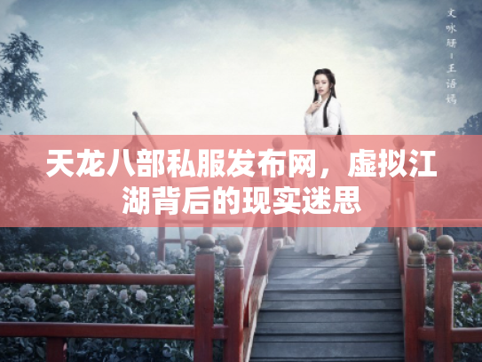 天龙八部私服发布网，虚拟江湖背后的现实迷思