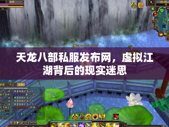 天龙八部私服发布网，虚拟江湖背后的现实迷思
