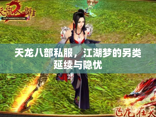 天龙八部私服，江湖梦的另类延续与隐忧