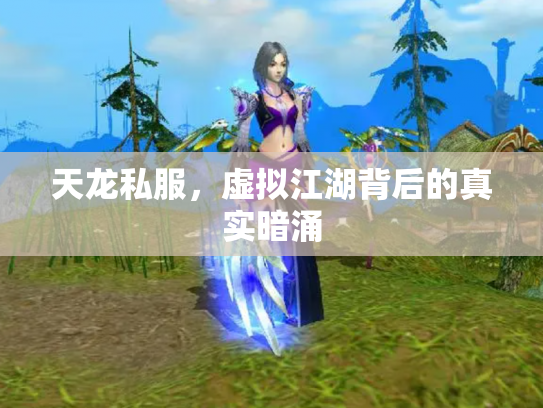 天龙私服，虚拟江湖背后的真实暗涌