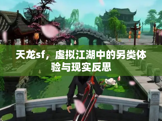 天龙sf，虚拟江湖中的另类体验与现实反思