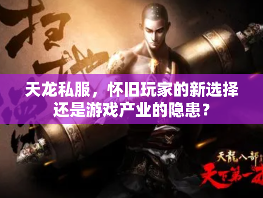 天龙私服，怀旧玩家的新选择还是游戏产业的隐患？