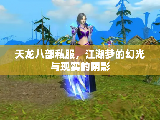 天龙八部私服，江湖梦的幻光与现实的阴影