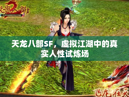天龙八部SF，虚拟江湖中的真实人性试炼场