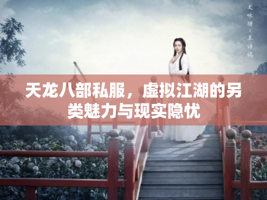 天龙八部私服，虚拟江湖的另类魅力与现实隐忧