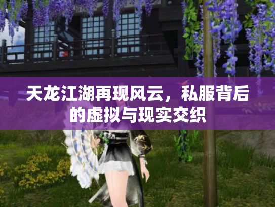天龙江湖再现风云，私服背后的虚拟与现实交织