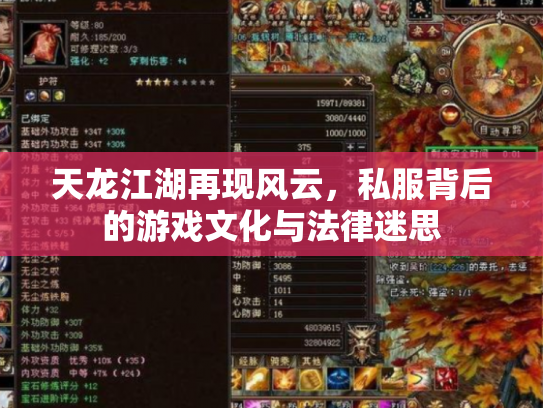 天龙江湖再现风云，私服背后的游戏文化与法律迷思