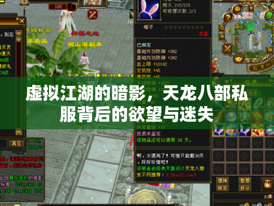 虚拟江湖的暗影，天龙八部私服背后的欲望与迷失