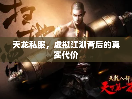 天龙私服，虚拟江湖背后的真实代价