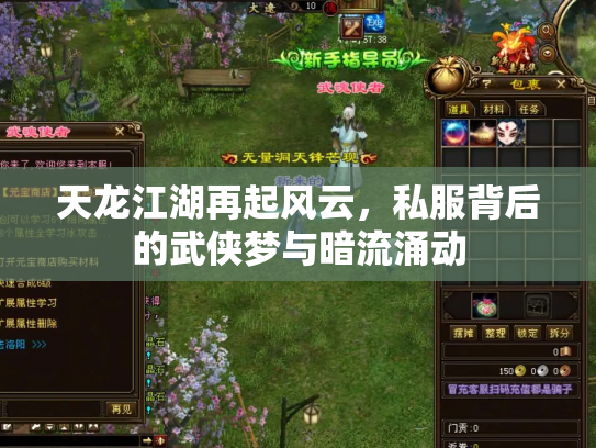 天龙江湖再起风云，私服背后的武侠梦与暗流涌动