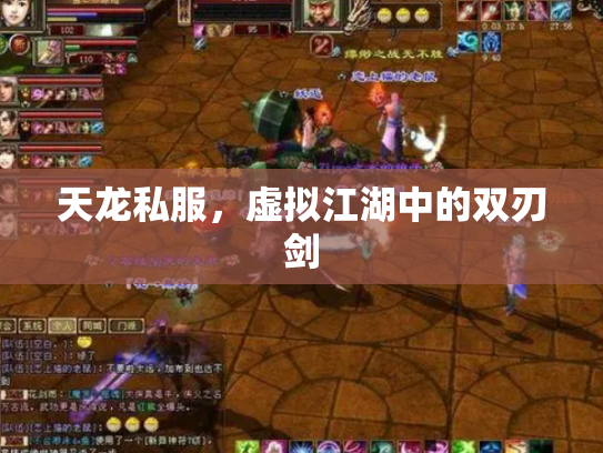 天龙私服，虚拟江湖中的双刃剑