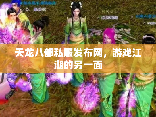 天龙八部私服发布网，游戏江湖的另一面
