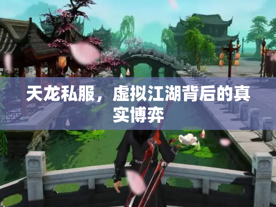 天龙私服，虚拟江湖背后的真实博弈