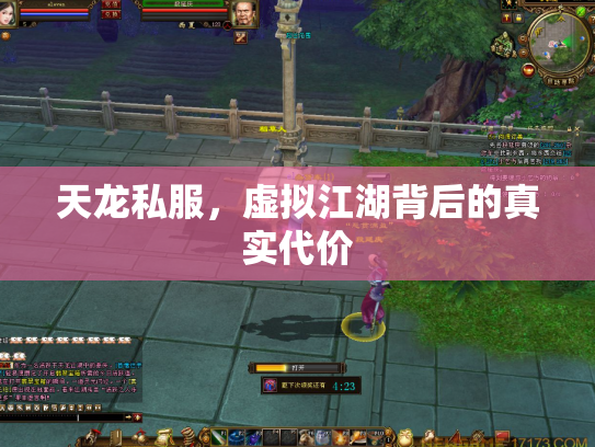 天龙私服，虚拟江湖背后的真实代价