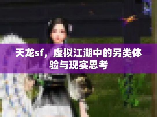 天龙sf，虚拟江湖中的另类体验与现实思考