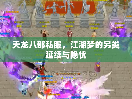 天龙八部私服，江湖梦的另类延续与隐忧