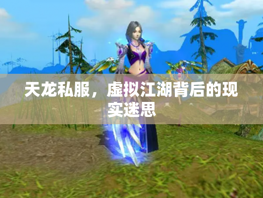 天龙私服，虚拟江湖背后的现实迷思