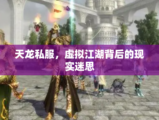 天龙私服，虚拟江湖背后的现实迷思