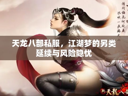 天龙八部私服，江湖梦的另类延续与风险隐忧