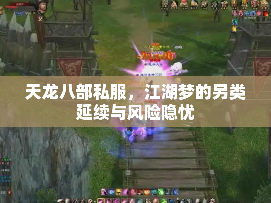 天龙八部私服，江湖梦的另类延续与风险隐忧