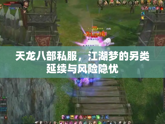 天龙八部私服，江湖梦的另类延续与风险隐忧