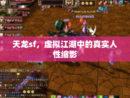 天龙sf，虚拟江湖中的真实人性缩影