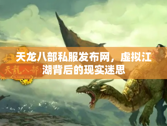 天龙八部私服发布网，虚拟江湖背后的现实迷思