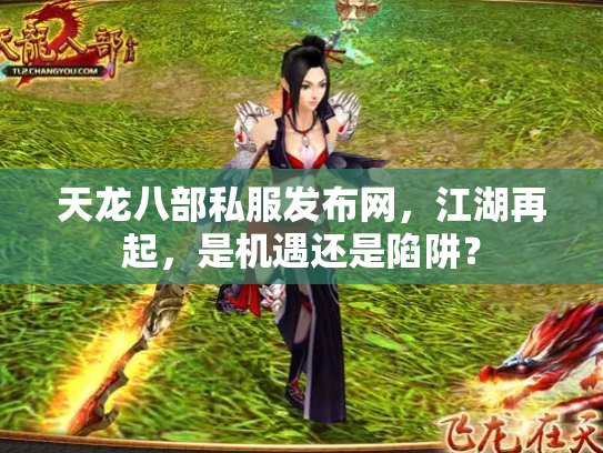 天龙八部私服发布网，江湖再起，是机遇还是陷阱？