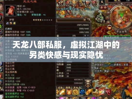 天龙八部私服，虚拟江湖中的另类快感与现实隐忧