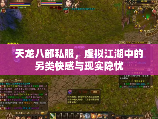 天龙八部私服，虚拟江湖中的另类快感与现实隐忧