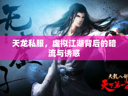 天龙私服，虚拟江湖背后的暗流与诱惑