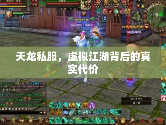 天龙私服，虚拟江湖背后的真实代价