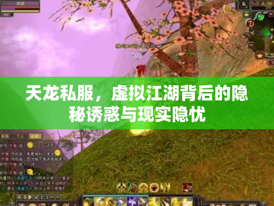 天龙私服，虚拟江湖背后的隐秘诱惑与现实隐忧