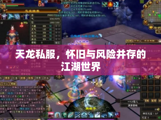 天龙私服，怀旧与风险并存的江湖世界