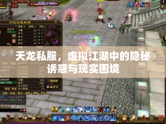 天龙私服，虚拟江湖中的隐秘诱惑与现实困境