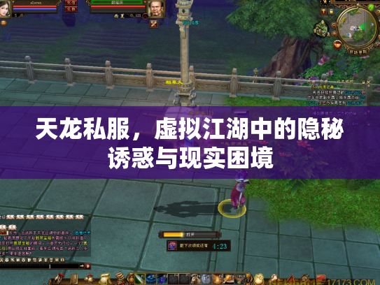 天龙私服，虚拟江湖中的隐秘诱惑与现实困境