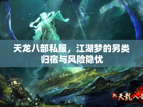 天龙八部私服，江湖梦的另类归宿与风险隐忧