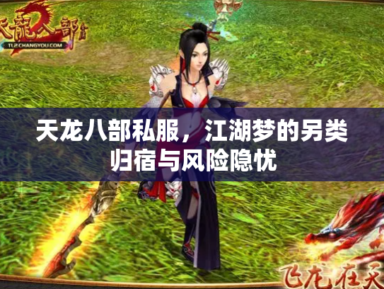 天龙八部私服，江湖梦的另类归宿与风险隐忧