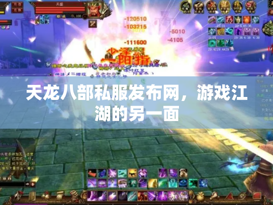 天龙八部私服发布网，游戏江湖的另一面
