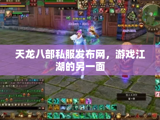天龙八部私服发布网，游戏江湖的另一面