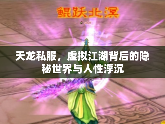 天龙私服，虚拟江湖背后的隐秘世界与人性浮沉