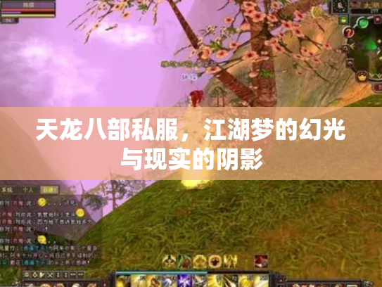 天龙八部私服，江湖梦的幻光与现实的阴影
