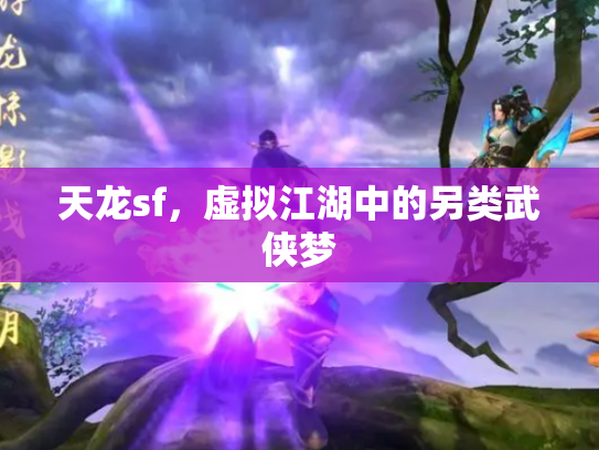 天龙sf，虚拟江湖中的另类武侠梦