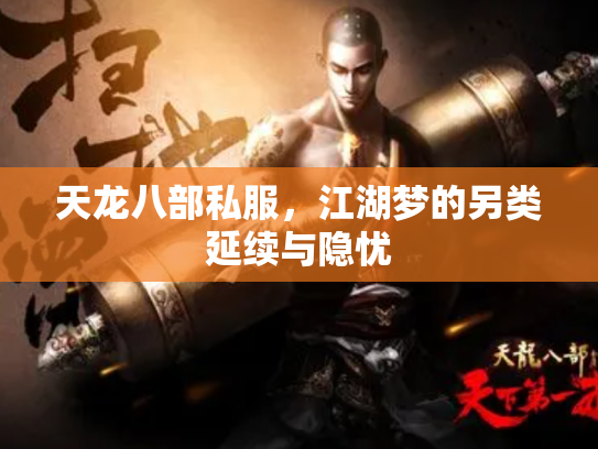 天龙八部私服，江湖梦的另类延续与隐忧