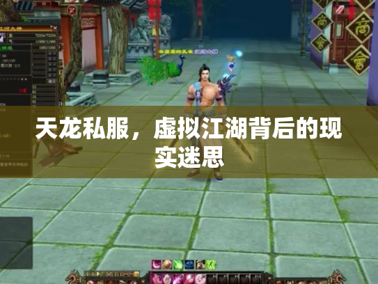 天龙私服，虚拟江湖背后的现实迷思