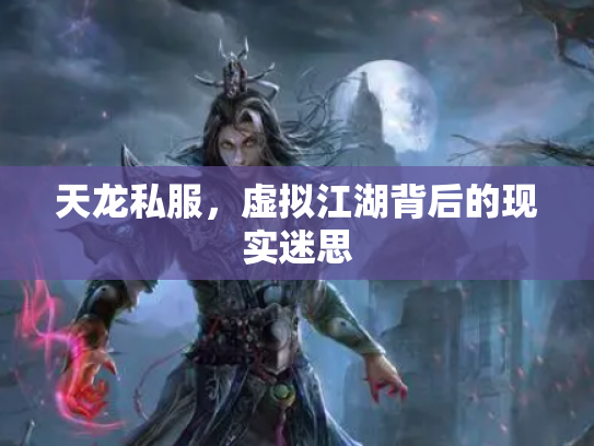 天龙私服，虚拟江湖背后的现实迷思