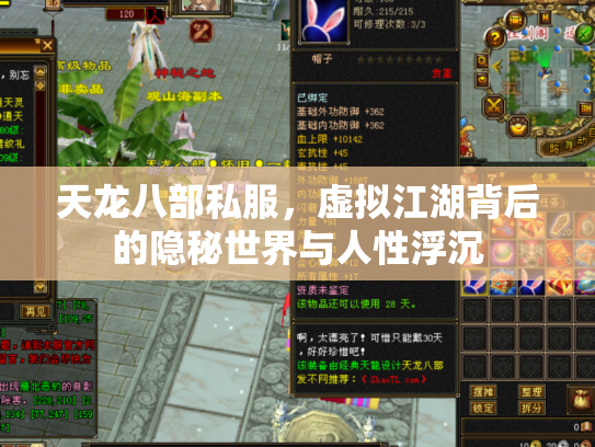 天龙八部私服，虚拟江湖背后的隐秘世界与人性浮沉