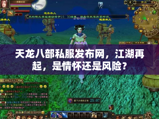 天龙八部私服发布网，江湖再起，是情怀还是风险？