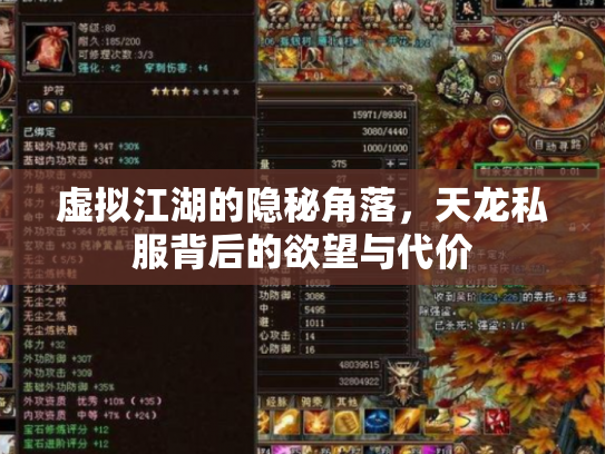 虚拟江湖的隐秘角落，天龙私服背后的欲望与代价